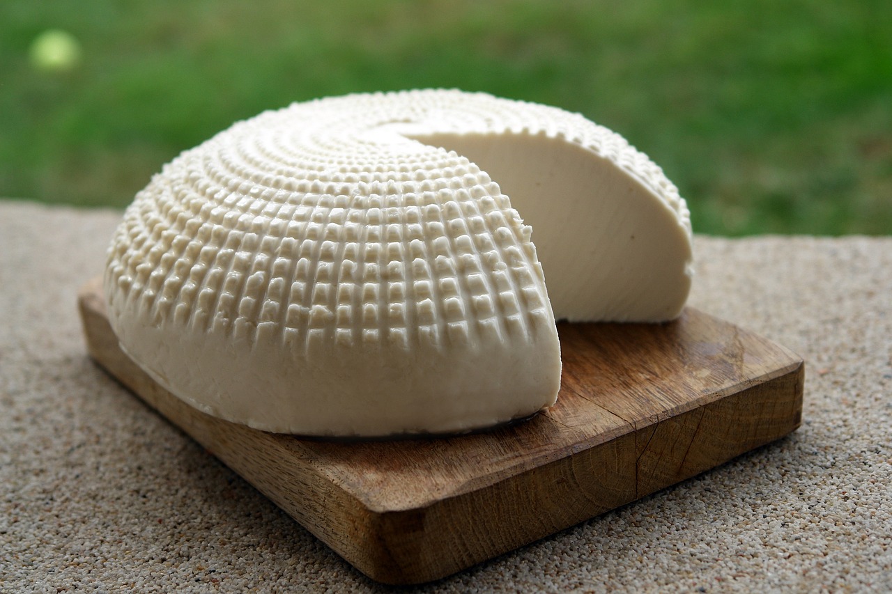 Kozi ser – zdrowa alternatywa dla tradycyjnego sera żółtego